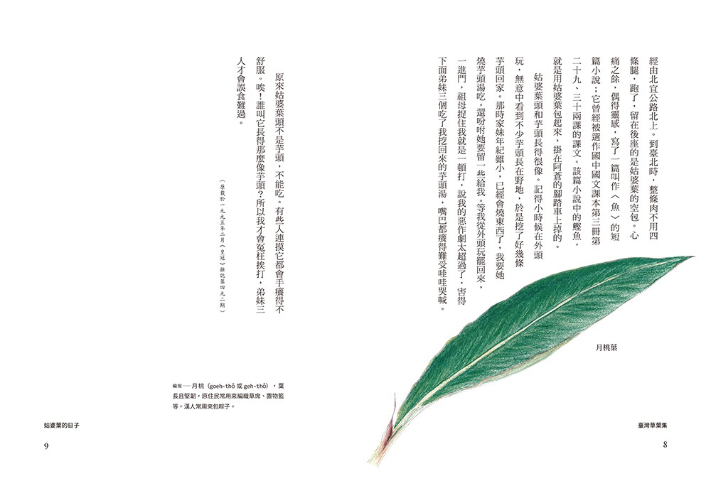 書封