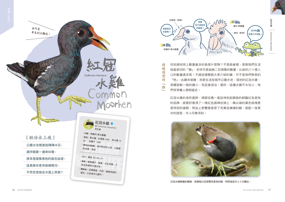 書封