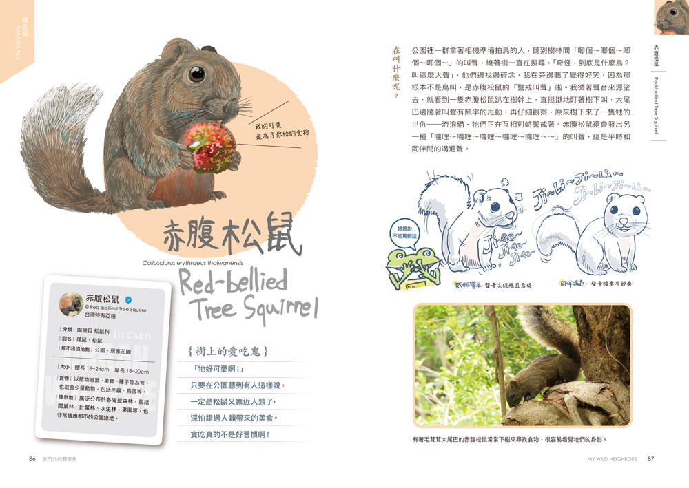 書封
