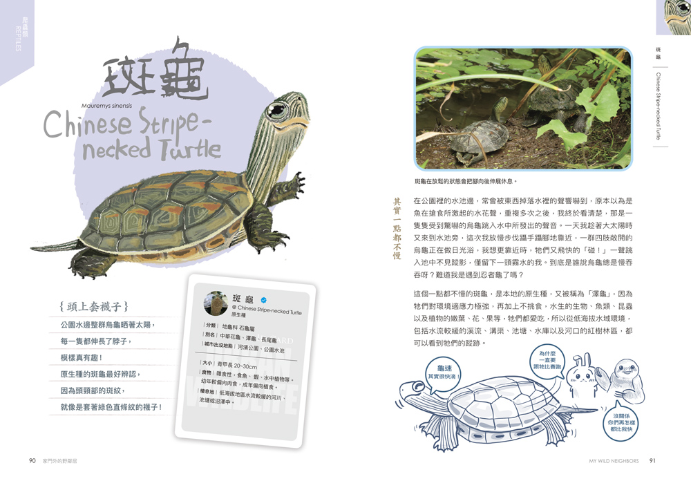 書封