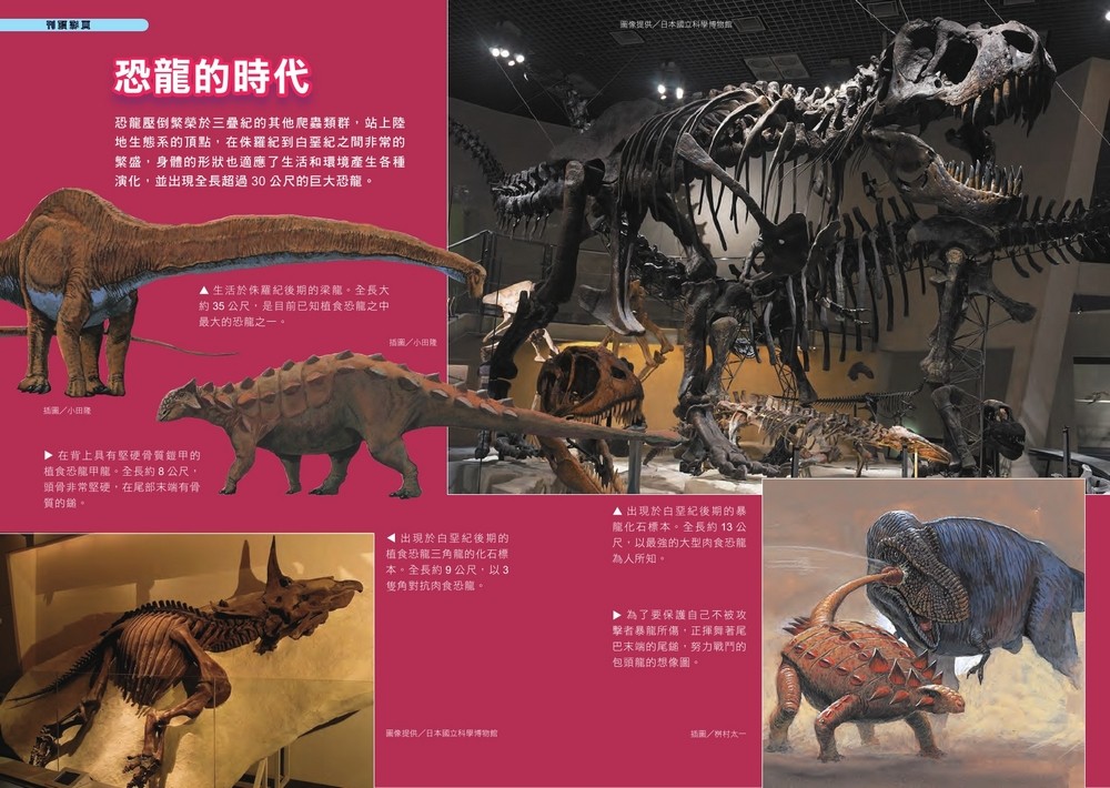 書封