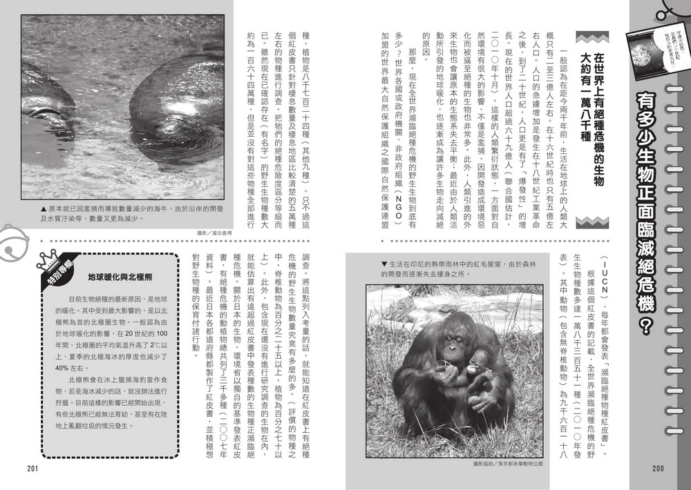書封