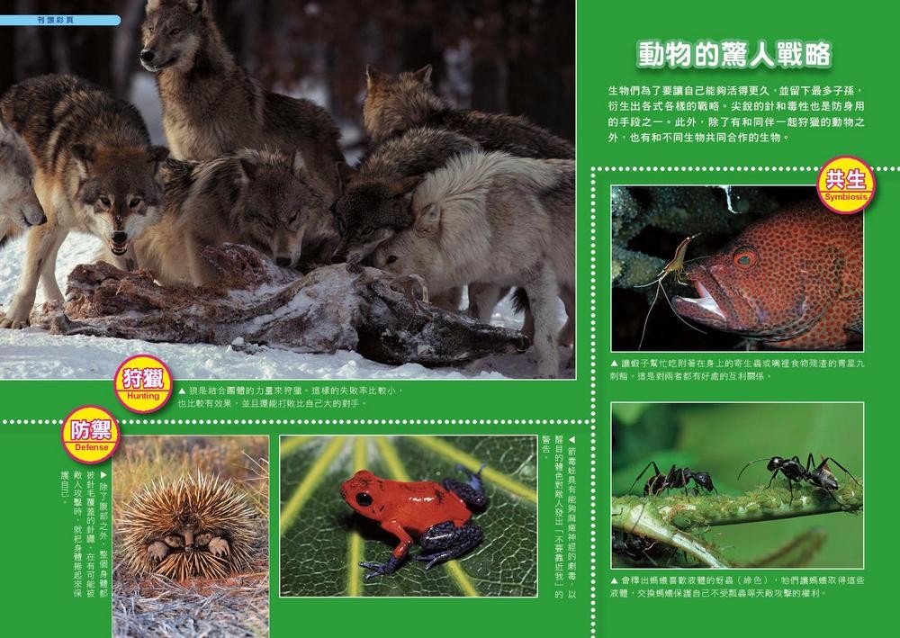 書封
