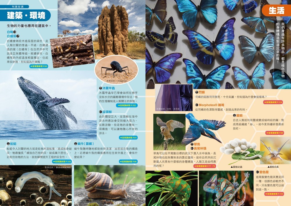 書封