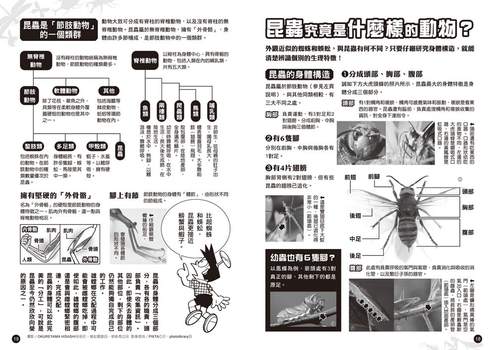 書封