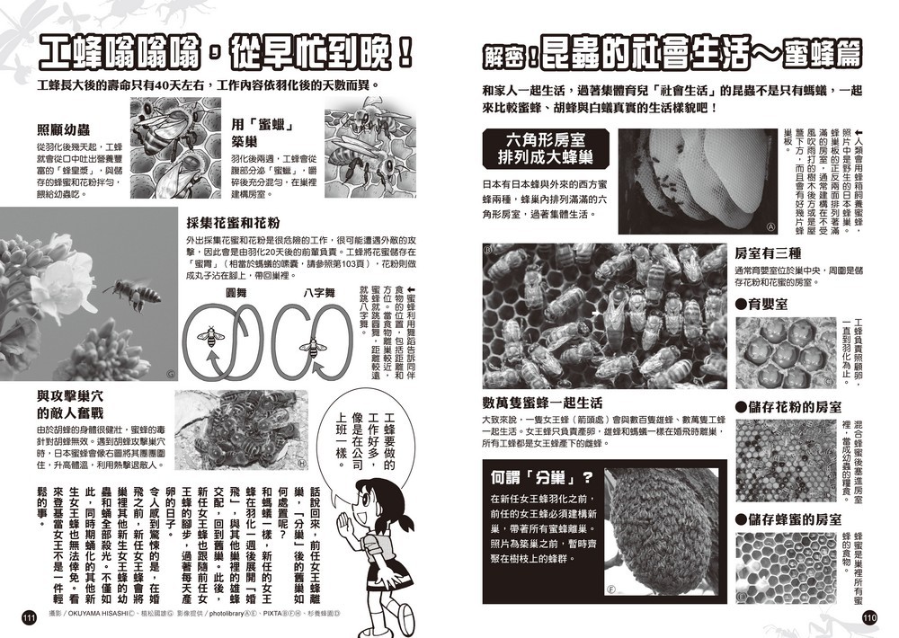 書封