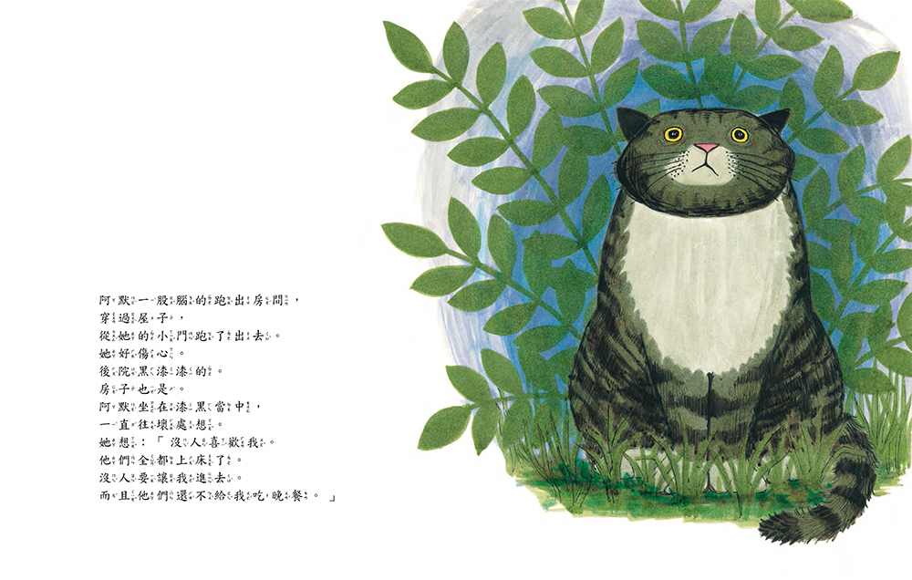 書封