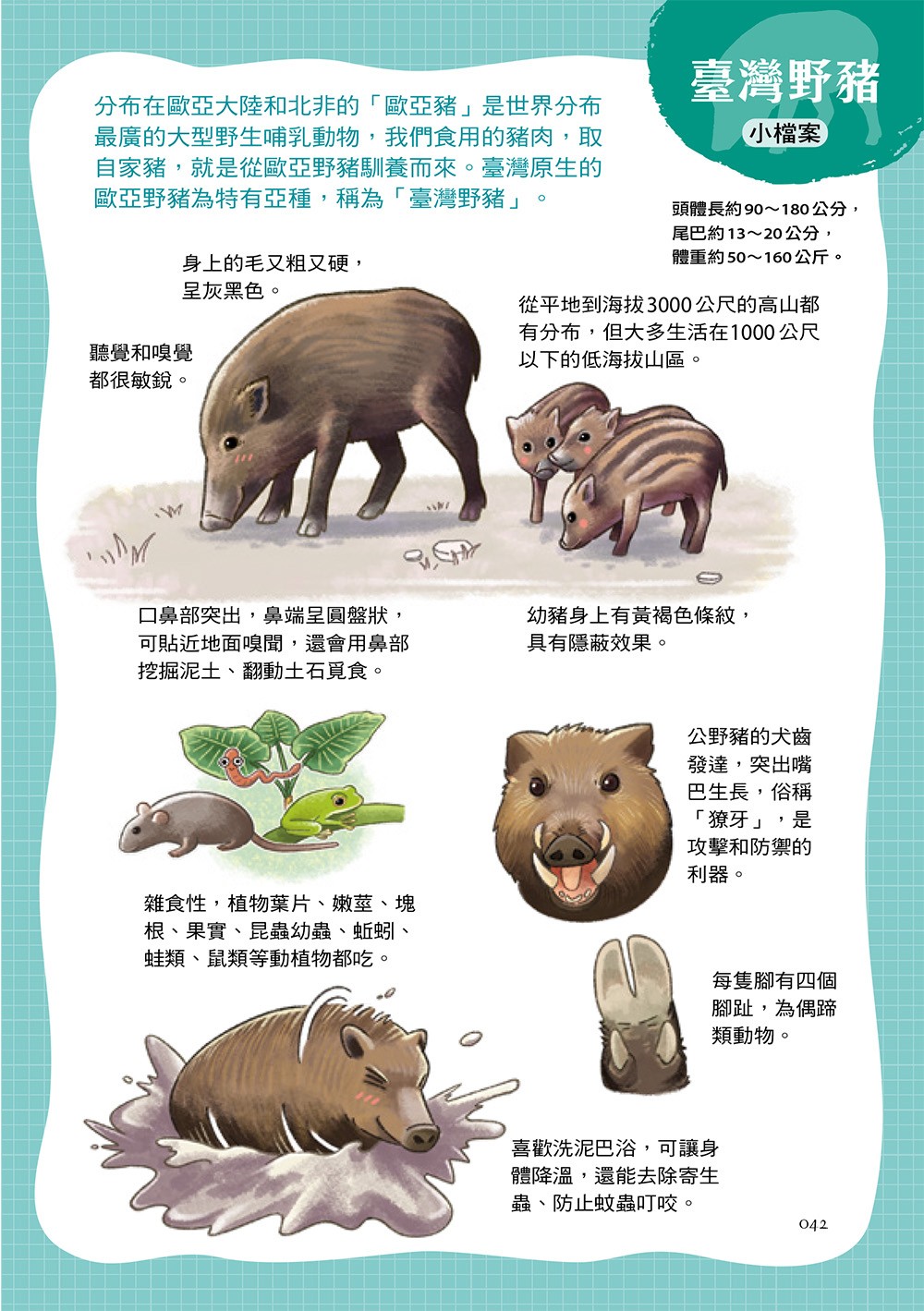 書封