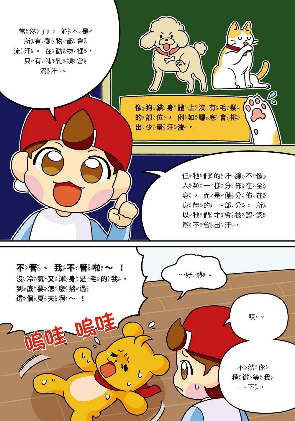 書封