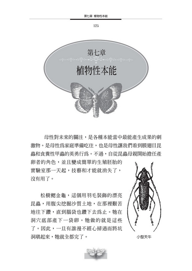 書封