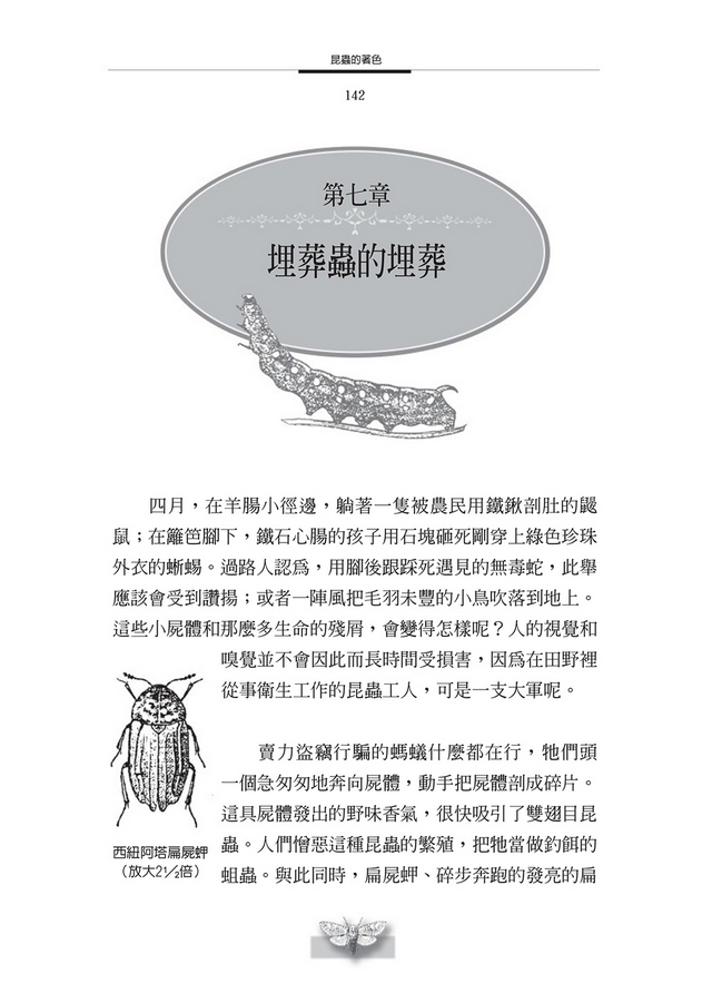 書封