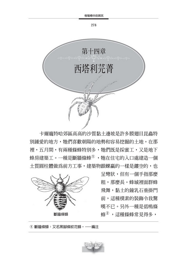 書封