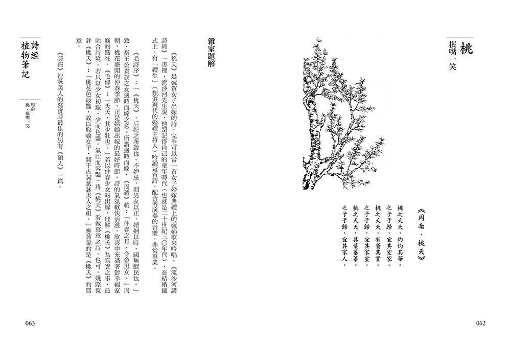 書封