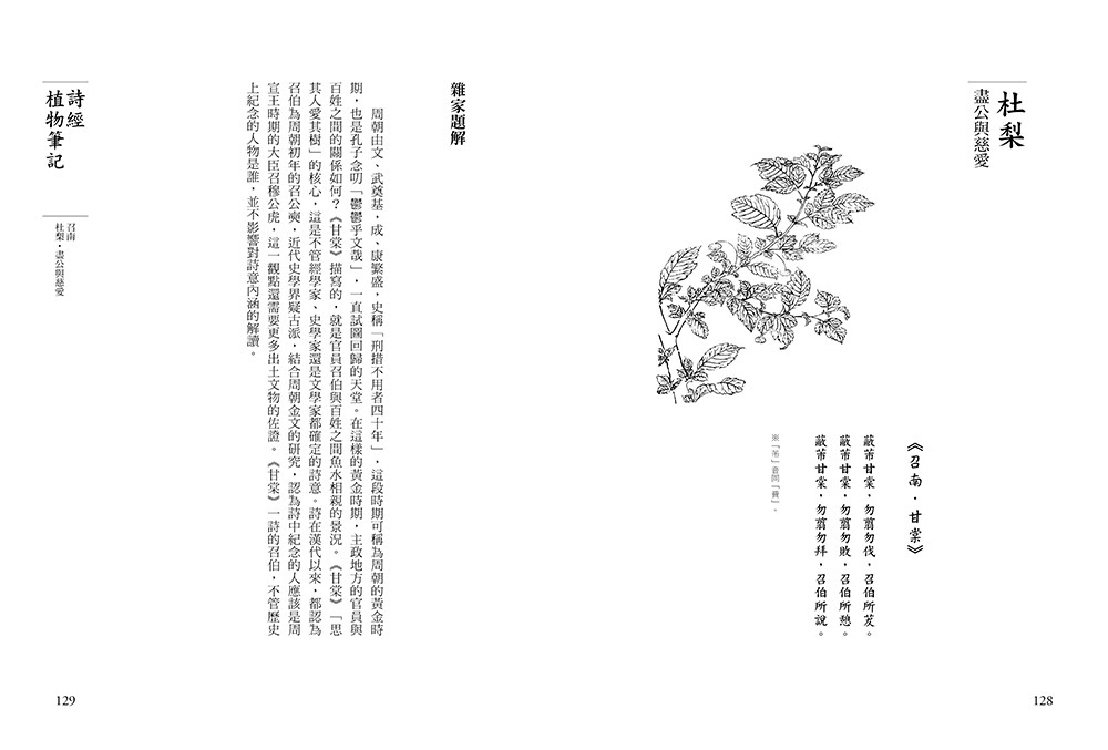 書封