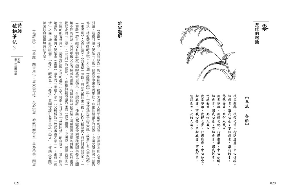 書封