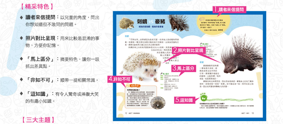 精彩特色內文