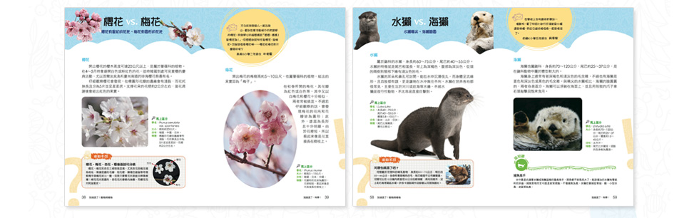 動物與植物章節預覽